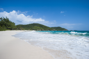 Best Beaches In St. Vincent & Grenadines