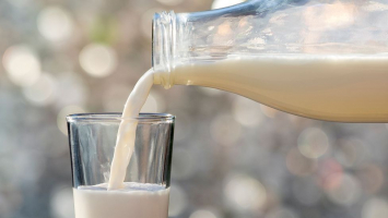 Best Fresh Milk Brands In Australia