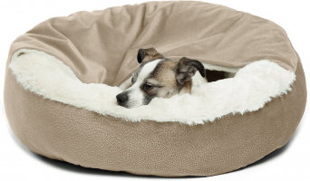 Best Dog Beds to Buy