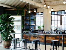 Best Coffee Shops in the United States