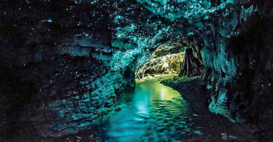 Most Beautiful Caves in New Zealand