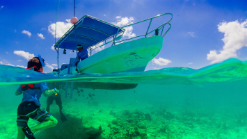 Most Popular Dive Sites in Mexico
