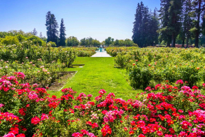 Best Parks to Visit in San Jose