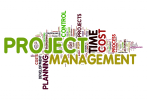 Best Project Management Software to Organize Your Team