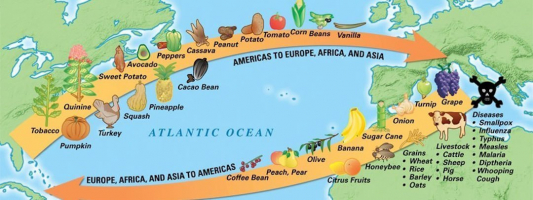 Interesting Facts About The Columbian Exchange