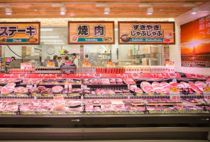 Best Japanese Stores in Singapore