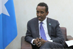 Most Important Historical Figures In Somalia