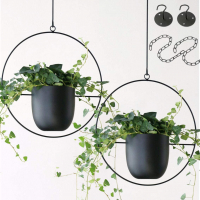 Best Hanging Planters for Indoors