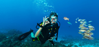 Best Diving Sites in Saint Barthelemy (France)