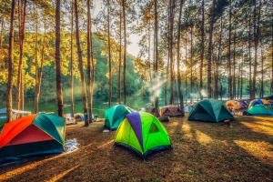 Amazing Places to Go Camping Near Los Angeles