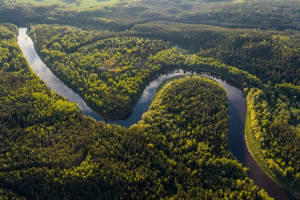 Longest Rivers in Colombia