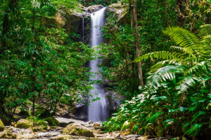 Most Beautiful Waterfalls in Trinidad and Tobago