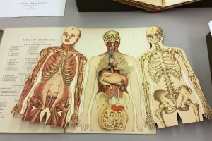 Best Books On Anatomy