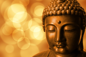 Best Books On Buddhism for Beginners