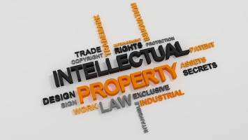 Best Books On Intellectual Property And Copyright