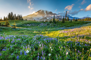 Best Day Trips From Seattle