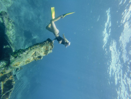 Best Diving Sites in British Virgin Islands (UK)