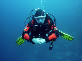 Best Diving Sites in Caribbean Netherlands (Netherlands)