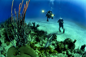 Best Diving Sites In Cyprus