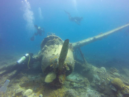 Best Diving Sites in Tuvalu