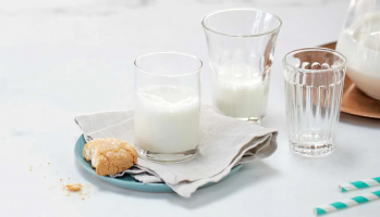 Best Lactose-Free Milk Brands