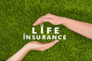 Best Life Insurance Companies in America