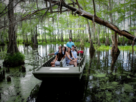 Best Louisiana Swamp Tours