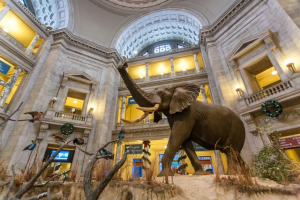 Best Museums to Visit in America