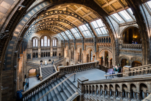 Best Museums to Visit in England