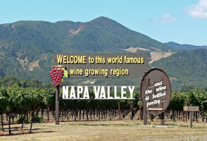 Best Napa Valley Wineries to Visit