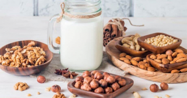 Best Nut Milk Machines