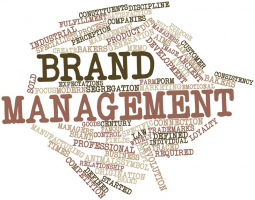 Best Online Brand Management Courses