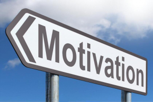 Best Online Motivation Courses