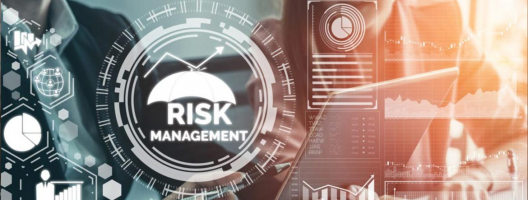 Best Online Risk Management Courses