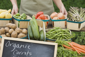 Best Organic Food Brands in France