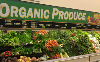 Best Organic Food Brands in UK