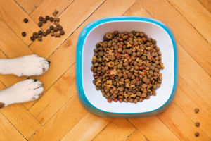 Best Pet Food Manufacturers in Europe
