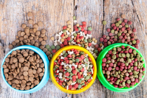Best Pet Food Manufacturers in India