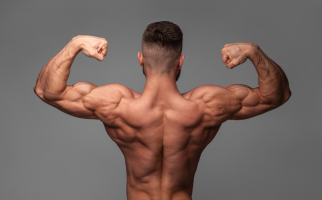 Best Protein Powders to Build Muscles