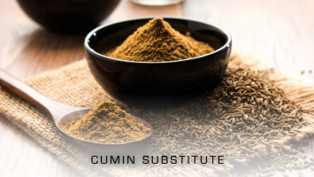 Best Substitutes for Cumin