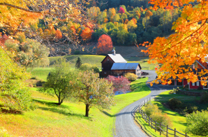 Best Things To Do In Vermont