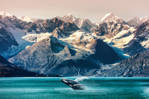 Best Things To Do In Alaska