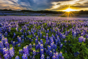 Best Things To Do In Texas