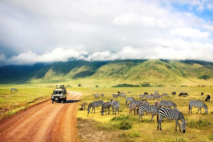 Best Africa Tour Operators And Travel Companies
