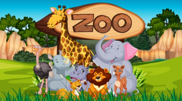 Best Zoos In Australia