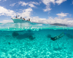 Best Places for Scuba Diving in New Caledonia