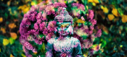 Most Famous Buddhist Temples in Dallas