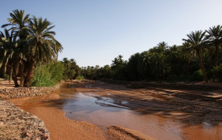 Longest Rivers in Algeria