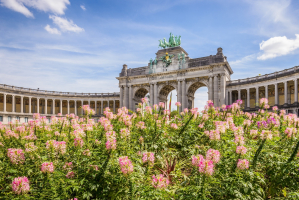 Best Tourist Attractions in Brussels