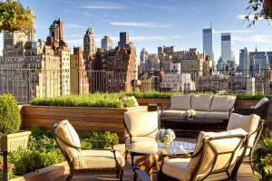 Coolest New York City Hotels To Stay